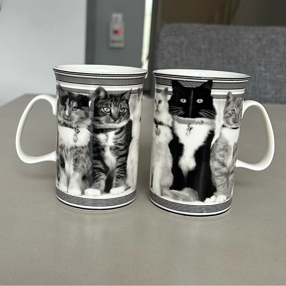 Set of Adorable Cat Mugs in Black and White